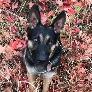 Meet your Posher, Mary